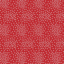 Freedom - STARS - Fabric Bash