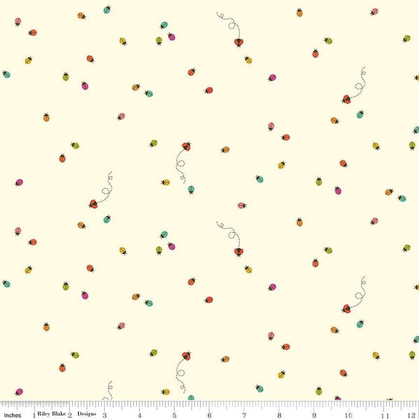 Hush Hush 5 - Little Ladies