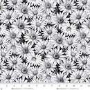 Scarlet's Treasure | Black White Daisy
