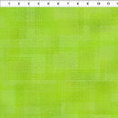 Interwoven - LIME - Fabric Bash