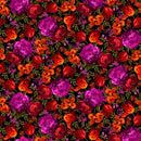 Midnight Floral - Black/Hot 108 - Fabric Bash