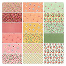 Peaches and Cream Quilting Fabric Fat Quarter Bundle - Fabric Bash