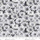 Scarlet's Treasure | Black White Daisy - Fabric Bash