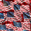 Stars, Stripes, & Steel WAVING AMERICAN FLAG BRICK - Fabric Bash