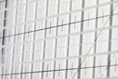 Stripology© Squared Ruler CGRGE2 - Fabric Bash