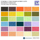 Watermark - 10" Squares Multi Color - Fabric Bash