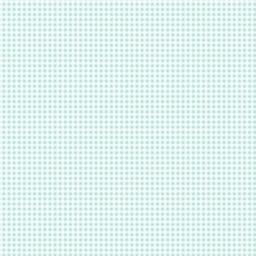 Checks 2975-17 Spa Blue || Dorothy Jean's Flower Garden