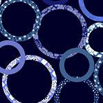 108" Patchwork Rings Navy
