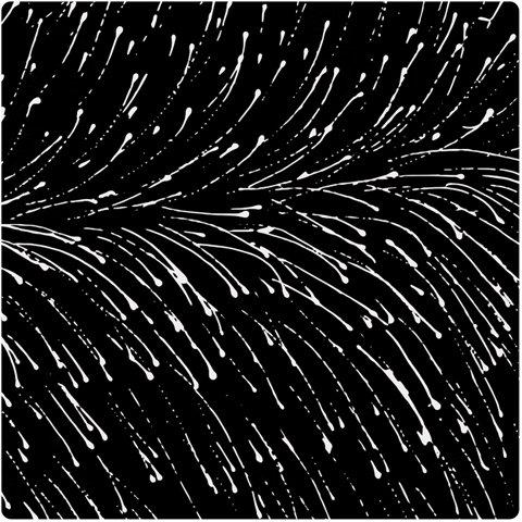 Dropping Seeds Black