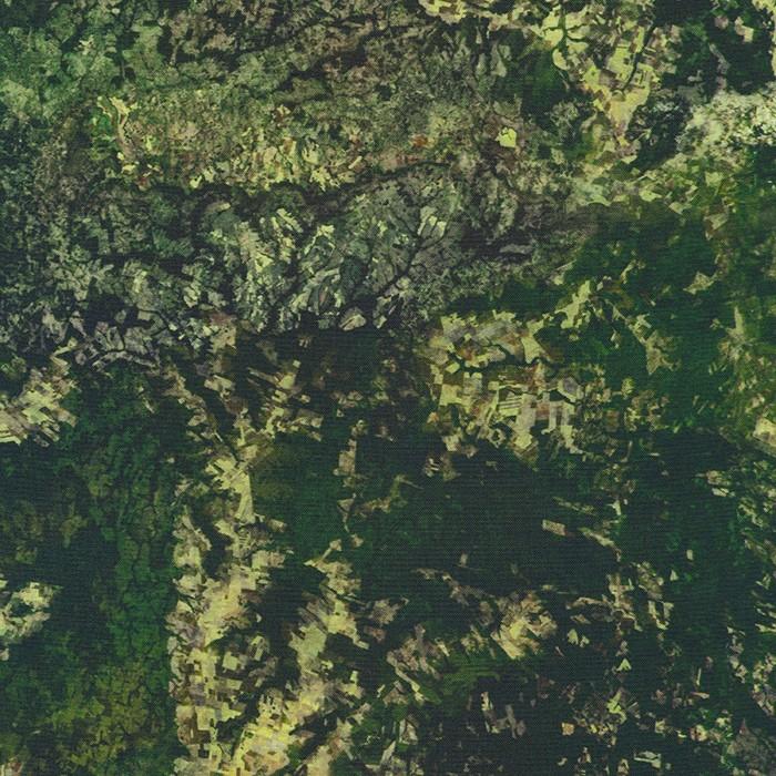 Earth Views - Forest