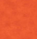 Shadow Play-Golden Poppy