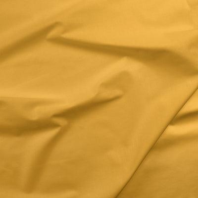 Painters Palette Golden Rod