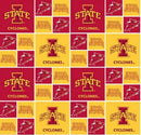 Red Iowa State University Squares - Fabric Bash