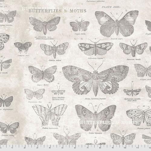 Butterflies - Parchment