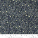 Freedom Road Blue Tan