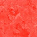 Nasturtium Bali Watercolors Ba