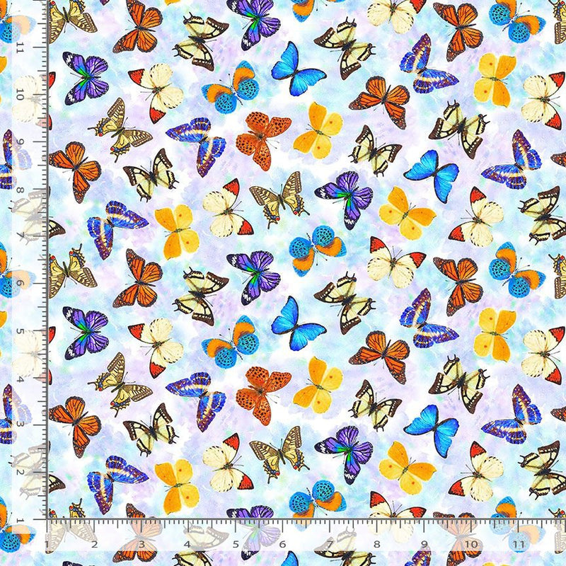 Multi Colors Butterflies