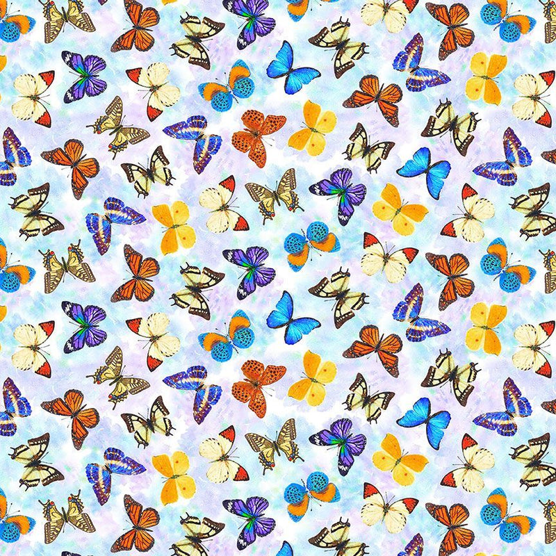 Multi Colors Butterflies