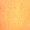 Tutti Fruitti Bali Watercolors