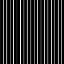 Dots & Stripes - Spaced Stripe - White on Black - Fabric Bash