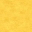 Shadow Play-Daffodil - Fabric Bash