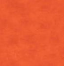 Shadow Play-Golden Poppy - Fabric Bash